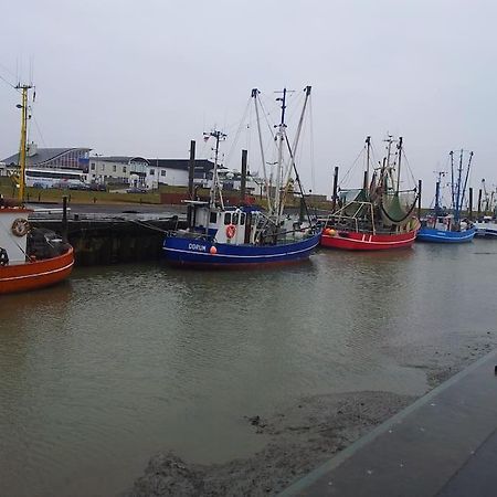 Nordsee Und Natur. Gemuetliche Fewo Mit Deichblick Dorumer Neufeld Eksteriør billede