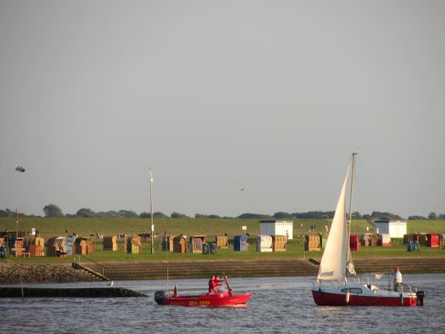 Nordsee Und Natur. Gemuetliche Fewo Mit Deichblick Dorumer Neufeld Eksteriør billede