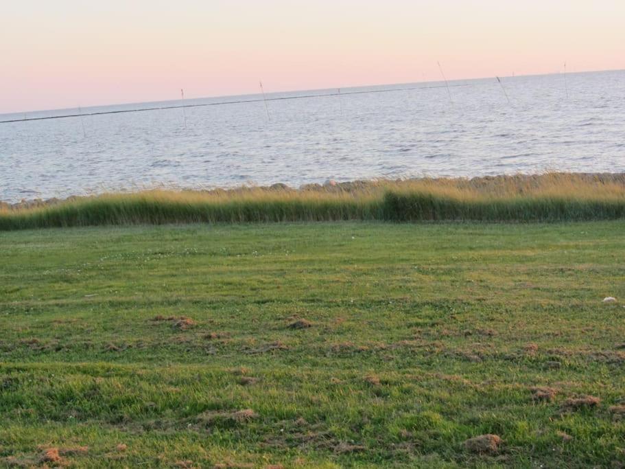 Nordsee Und Natur. Gemuetliche Fewo Mit Deichblick Dorumer Neufeld Eksteriør billede