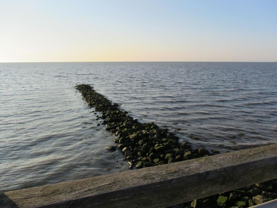 Nordsee Und Natur. Gemuetliche Fewo Mit Deichblick Dorumer Neufeld Eksteriør billede