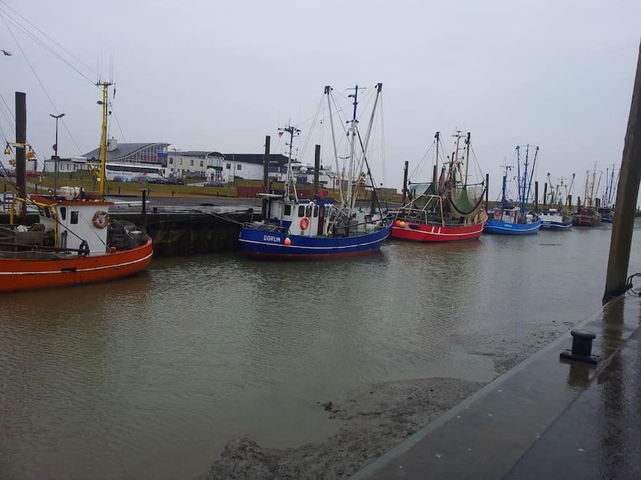 Nordsee Und Natur. Gemuetliche Fewo Mit Deichblick Dorumer Neufeld Eksteriør billede